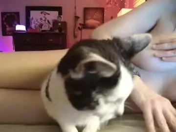 Chaturbate Free Live Porn of catnips_cabaret