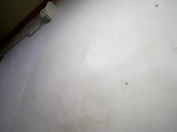 Chaturbate Free Porn Cam of sweetie_trishiaxx