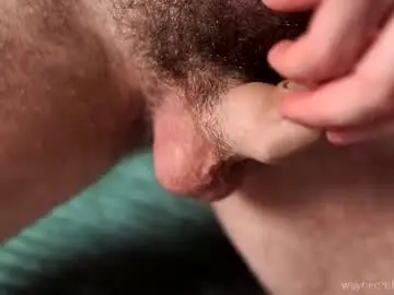 Chaturbate Nude Webcam of waynenorth