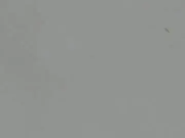 Chaturbate Free Live Porn of sophia_ebony___