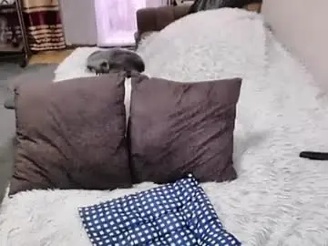 Chaturbate Sex Cam of tviks