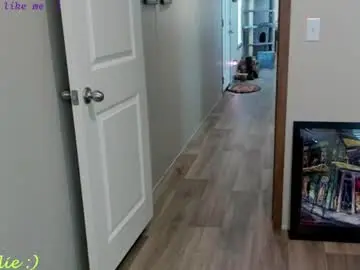 Chaturbate Free Live Porn of allie__kat