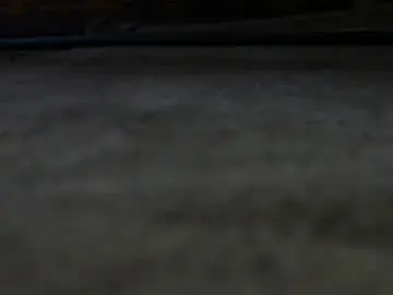 Chaturbate Live Sex of ramucam2676