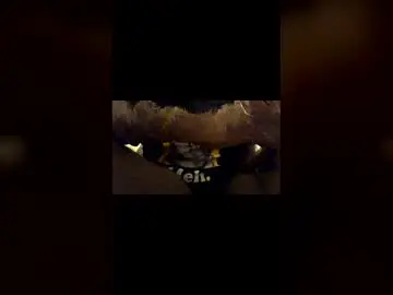 Chaturbate Private Sex Chat of tericmidnight