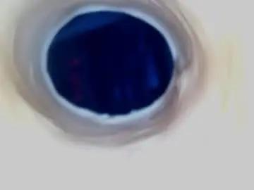 Chaturbate Watch Live Sex Cams of paulainoscente