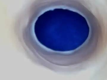 Chaturbate Sex Cam of paulainoscente