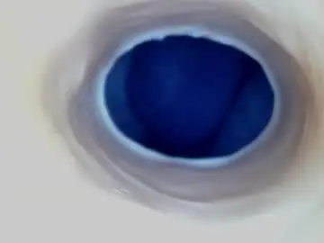 Chaturbate Best Webcam of paulainoscente