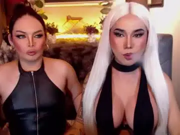 Chaturbate Adult Video Chat of transpornidol