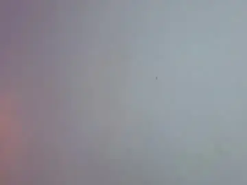 Chaturbate Sex Chat of scarlett__bell
