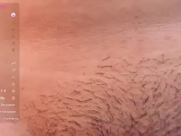 Chaturbate Sex Chat of milaheat1