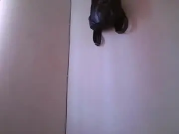 Chaturbate Live Porn of mayumi02