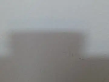 Chaturbate Live Porn of scarlet118082