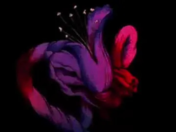 Chaturbate Live Sex of katsurotaro