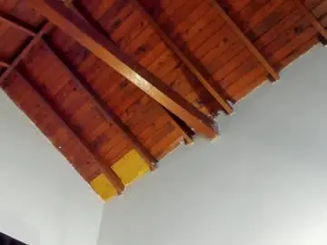 Chaturbate Private Sex Chat of tony_petrov
