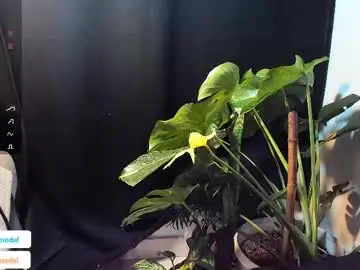 Chaturbate Private Sex Chat of lucasanto_