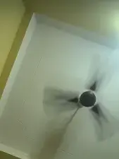 Dscgirls Sex Chat of Selenaa selenaa