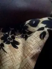 Dscgirls Private Sex Chat of Hot Nandini