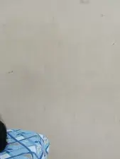 Dscgirls Best live sex cam show of rubi_sharma