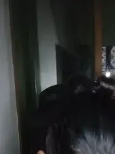 Dscgirls Adult Webcam of indianhothyd