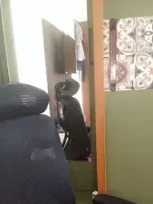Dscgirls Best Webcam of indianhothyd