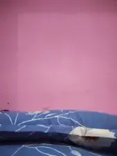 Dscgirls Sex Chat of Love_bitezz