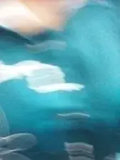 Dscgirls Sex Cam of Khushi21