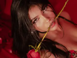 Myfreecams Free Porn Cam of Foxy_katt