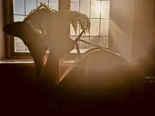 Streamate Sex Chat of KatieCarterX