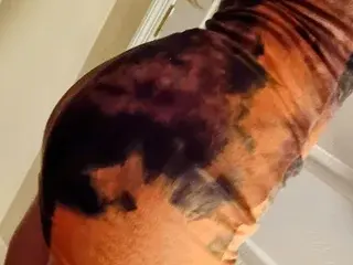 Streamate Watch Live Sex Cams of secrethoneypotxo