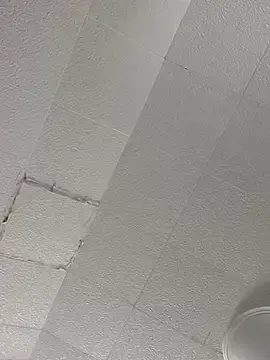 Stripchat Sex Cam of Randyable