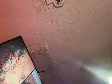 Stripchat Live Sex Cam of trash4cash