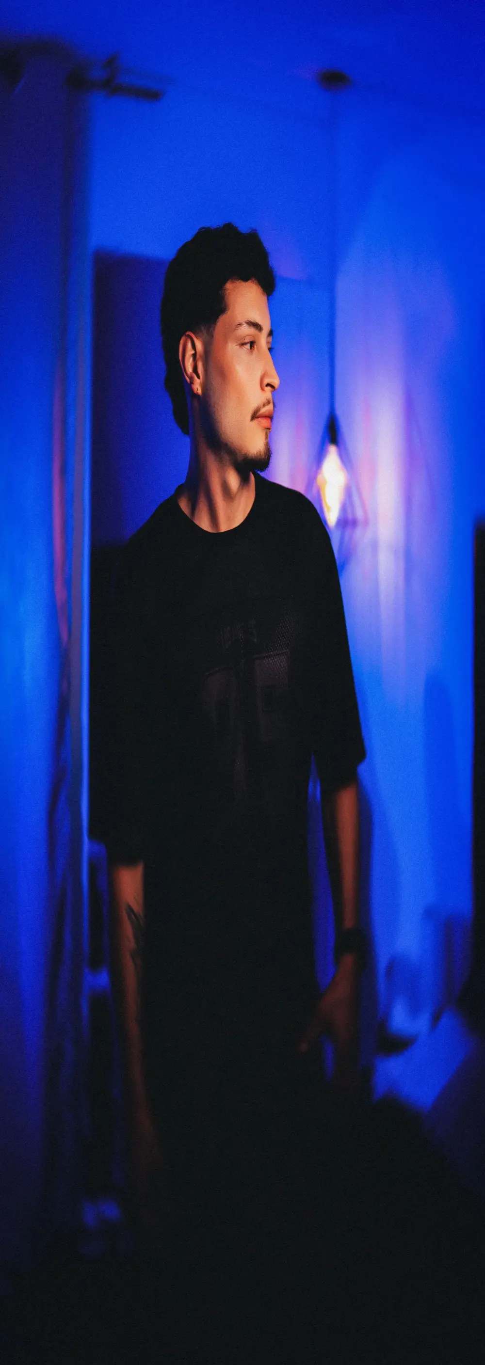 Alexlux1