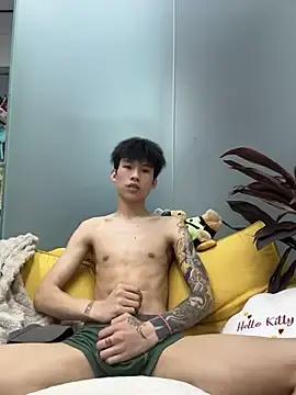 Stripchat Free Porn Cam of KPL-11