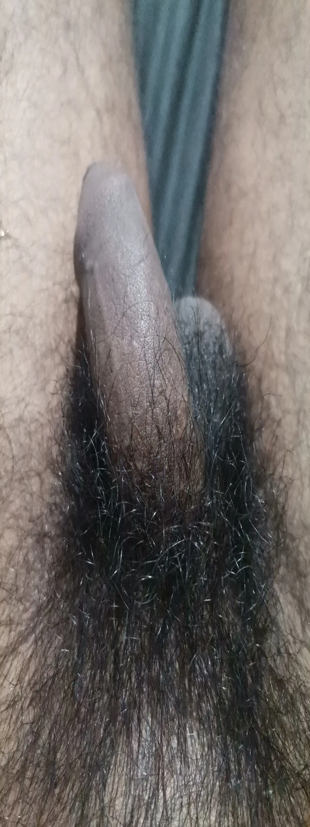 Nishu12356g