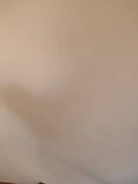Stripchat Live Porn of Eva_brunete1