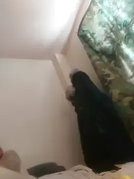 Stripchat Sex Chat of thefire420