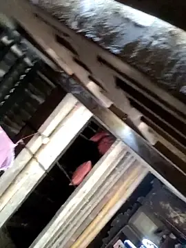 Stripchat Live Porn of omiu-baby