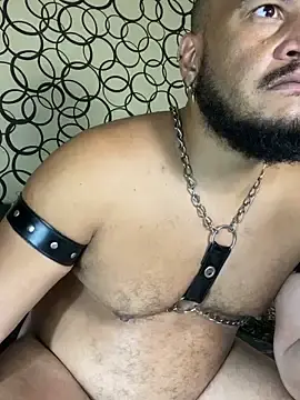 Stripchat Free Live Porn of the_master_foal_