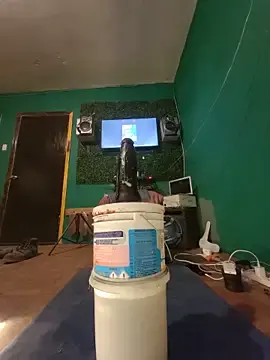 Stripchat Free Porn Cam of Ricorry@xh