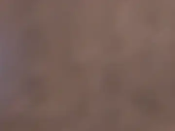 Stripchat Live Porn of Sofia_waltonx