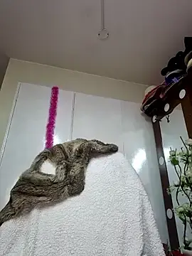 Stripchat Nude Webcam of Sam_Sara