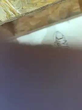 Stripchat Watch Live Sex Cams of snowmelt1