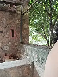 Stripchat Free Live Porn of sweet_outdoor_charm