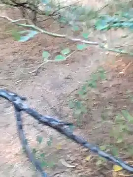 Stripchat Live Porn of Ajith_mvi