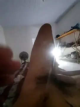 Stripchat Live Porn of Olavodom