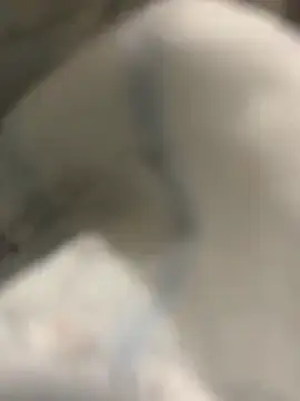 Stripchat Sex Chat of Navresseed