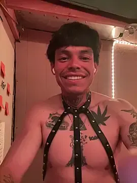 Stripchat Sex Cam of Imnotabatman45