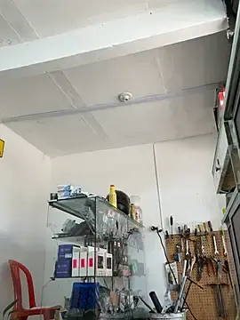 Stripchat Free Porn Cam of Paul22cm-