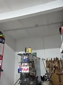 Stripchat Sex Cam of Paul22cm-
