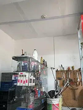 Stripchat Live Porn of Paul22cm-